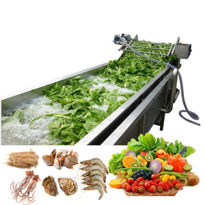 Lavadora Automática Comercial para Frutas, Verduras y Otros Productos - Product Image 1