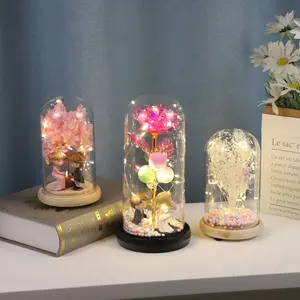 Enfeite de presente com led mini cúpulas de vidro, frasco de vidro, flor rosa colorida, flores artificiais para presentear a mãe