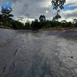Alta calidad 50m-200m de longitud <span class=keywords><strong>HDPE</strong></span> Geomembrana Dam <span class=keywords><strong>Liner</strong></span> Piscicultura Geomembranas Estanque <span class=keywords><strong>Liner</strong></span> Membrana a prueba de humedad para Fundación - Product Image 3