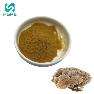 Fornecer Alta Qualidade Turquia Cauda Cogumelo/Trametes <span class=keywords><strong>Coriolus</strong></span>/ <span class=keywords><strong>Versicolor</strong></span> Extrato 30% Polissacarídeos - Product Image 1