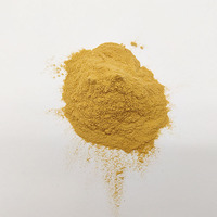 Instant Passievruchtensap Poeder 1Kg Passievruchtpoeder Natuurlijke Passiebloemvruchtzaadplant