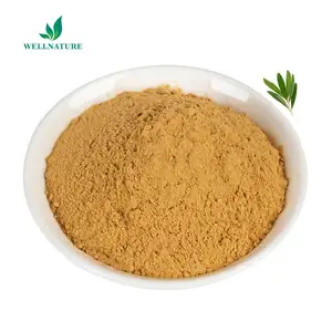 Pure Olive Leaf Plant Extract 10% Hydroxytyrosol Olive Leaf Extract