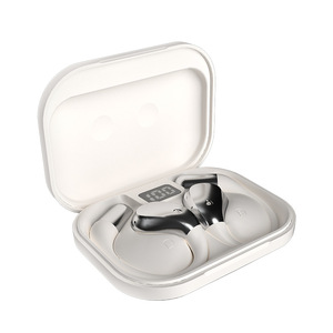 Auricolari Traduttori AI X5S per 164+ Lingue, Traduzione in Tempo Reale, Gancio per Orecchio Intelligente, Vendita Diretta dalla Fabbrica, Fornitore Professionale - Product Image 6