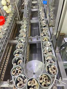 أسماك معلبة مأكولات بحرية معلبة في محلول ملحي من مصنع الأسماك المعلبة بأفضل سعر ممكن - Product Image 4