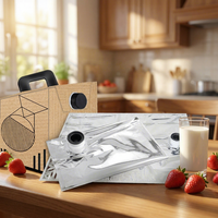 Sac en aluminium imprimé sur mesure avec bec verseur, ensemble d'emballage Bag-in-Box pour vin et jus liquides avec poignée en carton portable