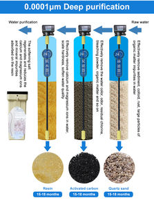 Sistema de Purificación de Agua por Ósmosis Inversa de 1 TPH para Riego de Invernaderos, Elimina Metales Pesados y Sarro, Apto para Cultivos - Product Image 5