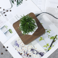 Maceta Eléctrica Magnética Levitante para Bonsái, Soporte Flotante de Plástico ABS para Plantas, Levitación de 10-15 mm para Jardín y Hogar, Más Vendida