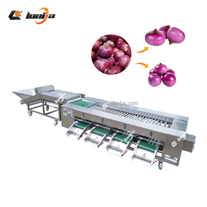 1-5t/h trái cây phân loại máy đỏ hành tây lột Máy Rau chặt máy <span class=keywords><strong>iqf</strong></span> đường hầm Tủ đông lưới túi dây chuyền đóng gói - Product Image 3