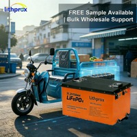 Batería Prismática LFP de 51.2V 150AH para Scooter de Movilidad, Batería Ligera con Carga Equilibrada para Silla de Ruedas Ligera, con Certificación CE