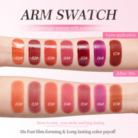 Rouge à lèvres liquide mat longue tenue de haute qualité à marque privée, haute pigmentation, à base de plantes, waterproof, hydratant, 7 couleurs