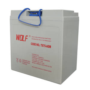 8V 170Ah 트로이 <span class=keywords><strong>T</strong></span>-<span class=keywords><strong>875</strong></span> 골프 카트 AGM 배터리 납산 배터리 - Product Image 1