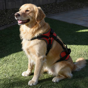 Arnés de elevación para perros con asas para lesiones de LCA, perros discapacitados o mayores, ayuda para caminar, chaleco de elevación ajustable para mascotas - Product Image 5