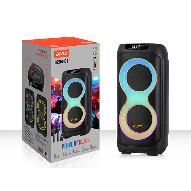 B208-01 Outdoor High Power for IPX4 Waterproof 40W Portable Party Box Speaker Dual 8" Woofer RGB LED Lighting