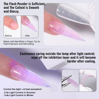 RS Nail Factory Vente en gros 8 couleurs Gel de construction pailleté translucide auto-nivelant effet brocart étoilé Gel UV de construction pour ongles