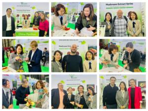 100% bubuk Apel ekstrak tanaman alami dengan polifenol 70% - Product Image 3