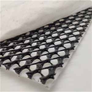 Almohadilla de drenaje compuesta tipo W, malla de polipropileno, material de geoneta de drenaje tridimensional, línea de producción. - Product Image 4