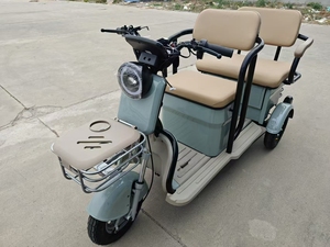 Triciclo Elettrico di Lusso Direttamente dalla Fabbrica, Bicicletta Elettrica <span class=keywords><strong>con</strong></span> Tettuccio, Triciclo Elettrico per Bambini - Product Image 3