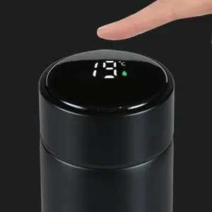 Hot Insulated Water Bottle With LED Real-Time Temperature Display Tumbler Stainless Steel Portable Smart Vacuum Thermo Mug