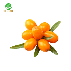 100% natürliches Sanddorn-Frucht extrakt Flavon oid pulver 10% 20% Sanddorn-Extrakt - Product Image 3