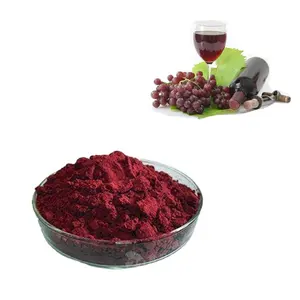 专业高品质天然红葡萄酒提取物