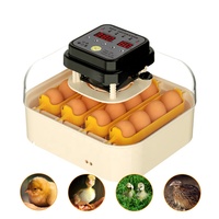 Mini incubateur automatique pour œufs, incubateur pour 15 œufs, machine à éclore les œufs à vendre