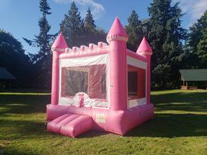 Pembe ticari sıçrama ev üfleyici ile şişme oyun parkı şatosu fedai - Product Image 6