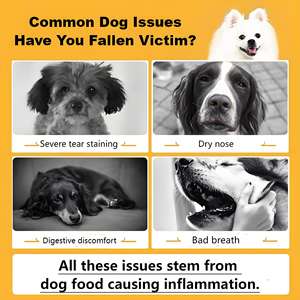 איכות מיוצא מפעל oem פרמיה באיכות גבוהה חלבון יבש חלבון יבש מזון עבור להשיג שרירים לכל הגילאים - Product Image 3