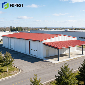 Almacén Metálico Prefabricado Económico con Techo de Lámina Corrugada, Arena Deportiva Interior, Resistente al Fuego y Sostenible - Product Image 1