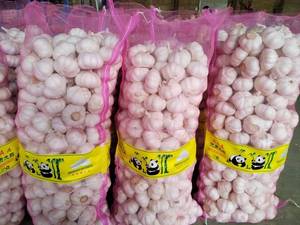 <span class=keywords><strong>Ail</strong></span> frais chinois Alho pour la vente en gros de légumes frais Prix usine <span class=keywords><strong>Ail</strong></span> <span class=keywords><strong>blanc</strong></span> <span class=keywords><strong>ou</strong></span> <span class=keywords><strong>violet</strong></span> frais pour 4.0 4.5 5.0 5.5 CM Taille - Product Image 5