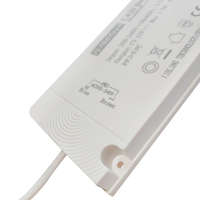 Alimentation LED à découpage étanche IP54 certifiée UL, driver LED DC 12V 60W pour système d'éclairage de miroir de salle de bain intelligent