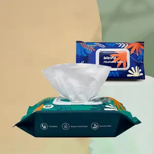 oem customized single wet wipe for hand individual 80pcs/bag biodegradable organic mens feminine cleaning wet wipes