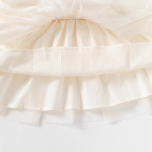 Abito da Principessa <span class=keywords><strong>per</strong></span> Bambina Primavera-Autunno 2026, Maniche Lunghe Ricamate, in Tulle, <span class=keywords><strong>per</strong></span> Cento Giorni e Primo Compleanno - Product Image 6