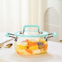 Ensemble de casseroles en verre borosilicate de grande capacité en gros, pot à bouillir transparent avec poignée en acier inoxydable et silicone
