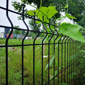 Recinzione di Sicurezza 3D di Alta Qualità per Ranch <span class=keywords><strong>e</strong></span> Giardini, Economica, <span class=keywords><strong>in</strong></span> <span class=keywords><strong>Legno</strong></span> Trattato a Pressione <span class=keywords><strong>e</strong></span> Telaio <span class=keywords><strong>in</strong></span> Metallo, 8 Piedi, Servizio di Modellazione 3D - Product Image 5