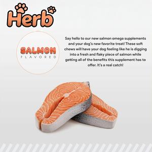 Friandises molles pour chiens riches en protéines pour la santé de la peau et du pelage avec des acides gras oméga pour soutenir le système immunitaire, OEM ODM - Product Image 6