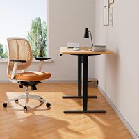 Bureau debout électrique moderne Fengyi avec cadre en acier, 4 réglages de hauteur à mémoire de forme, plateau ergonomique réglable en bois de 47,2 pouces