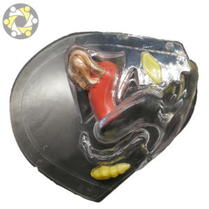 Искусственный женский орган влагалища и матки анатомическая модель прозрачный материал PLA 24x24x9 см - Product Image 6