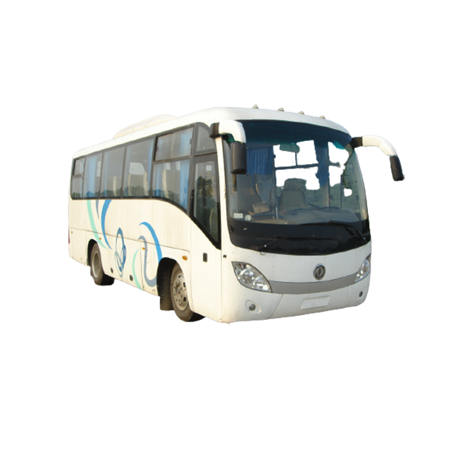 Туристический автобус Dongfeng EQ6831L3G, 8,3 м