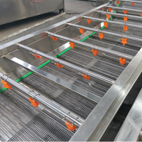 Hoge kwaliteit 304 roestvrijstalen bubbelwasmachine automatische groente- en fruitreiniger voor voedselverwerking