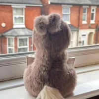 Peluche Lapin Personnalisée en Velours avec Enveloppe, Jouet Anti-Stress en Coton PP et Maille, Cadeau Adorable pour Bébés de 0 à 24 Mois