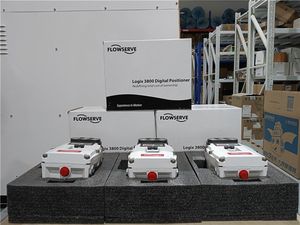 วาล์วควบคุมการไหลของไชน่าโกลบ รุ่น Flowserve 3841-43MA-D43R-1130-00 พร้อมตัวควบคุมตำแหน่งวาล์วอุตสาหกรรม และตัวกรองควบคุมแรงดัน Fisher 67CFR-239 - Product Image 3