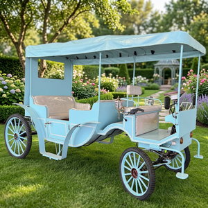 Chariot électrique Princesse Cendrillon pour mariages et visites touristiques, capacité 5 personnes, vitesse 60 km/h, transport spécial zéro émission - Product Image 1