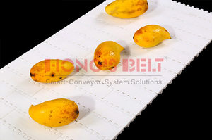Hongsbelt Platte Top Modulaire Transportband Voor Fruit Industrie - Product Image 6