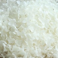 Hydrangées séchées naturelles les plus vendues, les hydrangées blanches les plus abordables pour la décoration de la maison et des mariages