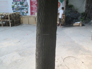 <span class=keywords><strong>ต้น</strong></span><span class=keywords><strong>แอ</strong></span><span class=keywords><strong>ป</strong></span><span class=keywords><strong>เปิ้</strong></span><span class=keywords><strong>ล</strong></span>พลาสติกเหมือนจริง <span class=keywords><strong>ต้น</strong></span><span class=keywords><strong>แอ</strong></span><span class=keywords><strong>ป</strong></span><span class=keywords><strong>เปิ้</strong></span><span class=keywords><strong>ล</strong></span>ประดับตกแต่ง - Product Image 6