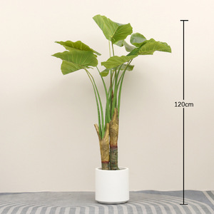Plante artificielle en pot de <span class=keywords><strong>taro</strong></span> <span class=keywords><strong>sauvage</strong></span> en plastique pour la décoration intérieure, le bureau, le jardin, la décoration de la maison, plantes artificielles, plantes factices - Product Image 5