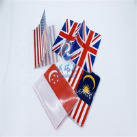 Couverture de passeport transparente porte-passeport en PVC Transparent