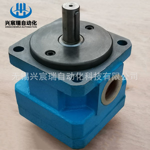 Xingchenrui Automation GPA Gear <b>Pump</b> 200 <b>Bar</b> Cast Iron Hydraulic Rotary <b>Pump</b> Motor Driven - Product Image 4