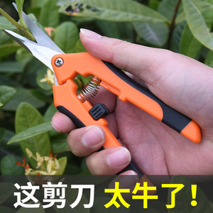 Tijeras de jardín Baolian de acero inoxidable con mango naranja para recolección de frutas y poda - Product Image 4