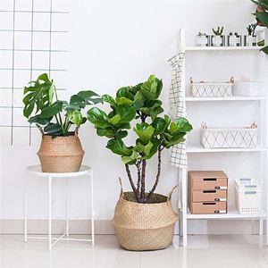 Cesta <span class=keywords><strong>de</strong></span> <span class=keywords><strong>Mimbre</strong></span> <span class=keywords><strong>de</strong></span> Bambú con 6 Secciones, Aislante, Marrón Rústico, 12 Pulgadas, Almacenamiento Tejido, Desechable, <span class=keywords><strong>para</strong></span> Frutas - Product Image 5